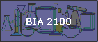 BIA 2100